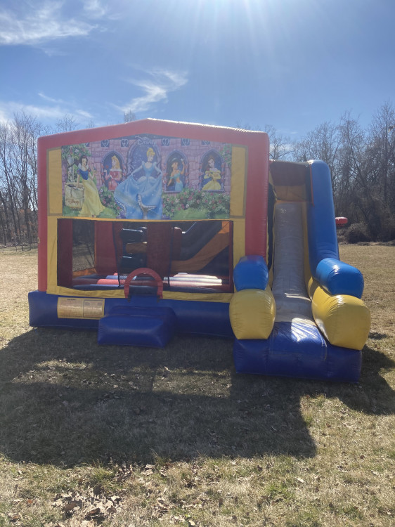 Disney Princess Banner 7-N-1 Playland Combo